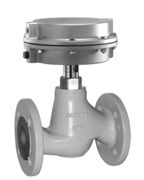 Type 3222 Globe Valve
